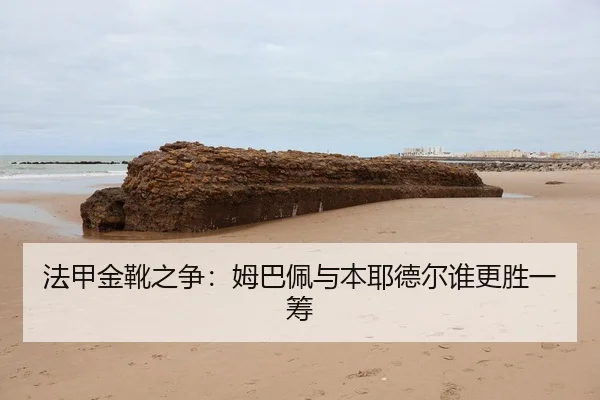 img_1791625688385_359_0_221.jpg | Xingcai